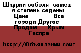 Шкурки соболя (самец) 1-я степень седены › Цена ­ 12 000 - Все города Другое » Продам   . Крым,Гаспра